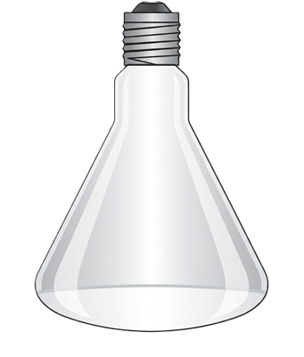 Ampoule